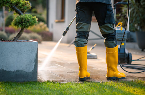 Best Pressure Washing Driveway  in West Union, IA
